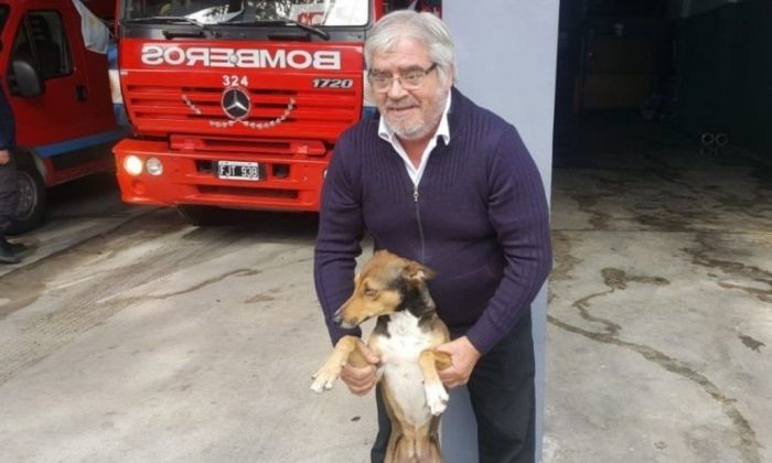 La historia de Firulais, el perro que saltó a la Bombonera