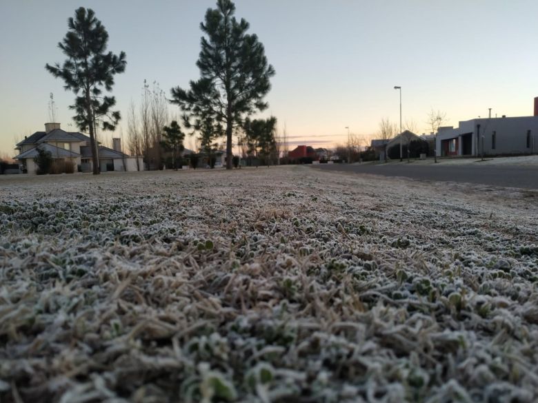 En la mañana más fría del 2019 te mostramos la helada que cayó en Río Cuarto y la zona 