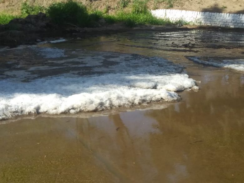 El martes amaneció con una helada negra 