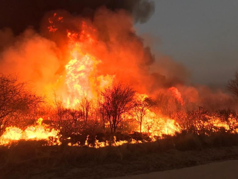 Contenidos los incendios en la sierras