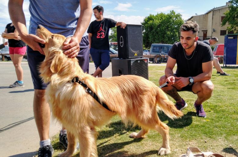 Exitosa jornada de adopción de mascotas