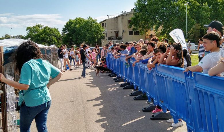 Exitosa jornada de adopción de mascotas