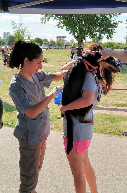 Exitosa jornada de adopción de mascotas