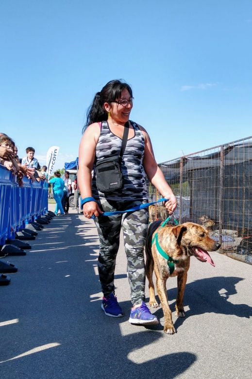 Exitosa jornada de adopción de mascotas