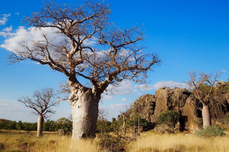 Región de Kimberley, Australia Occidental 