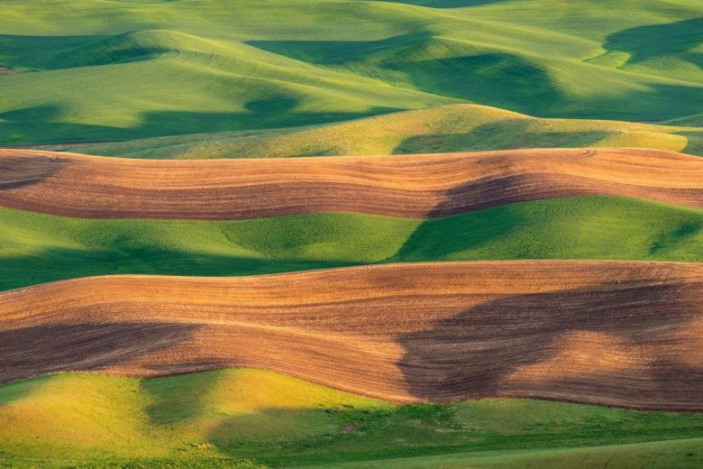 Loess de Palouse 