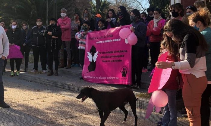 Masacre del perro “Negrito” en Coronel Moldes: Investigaciones culpan a su propio dueño