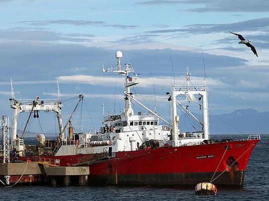 Ushuaia: cómo contrajeron coronavirus los 57 marineros