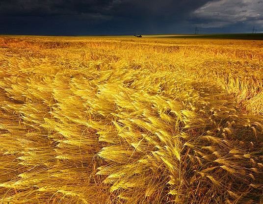 Río Cuarto sigue con vientos intensos hasta el miércoles