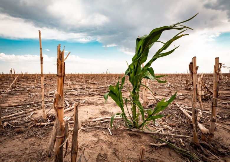 Aseguran que el fenómeno "la Niña" se extenderá hasta el verano