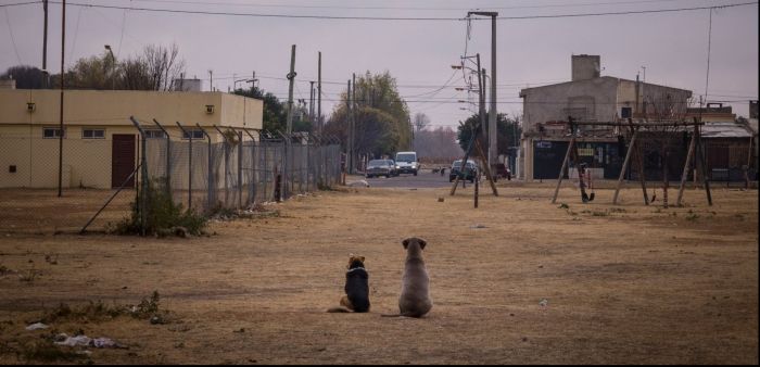 Mirando la vida