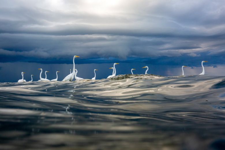 Storm brewing