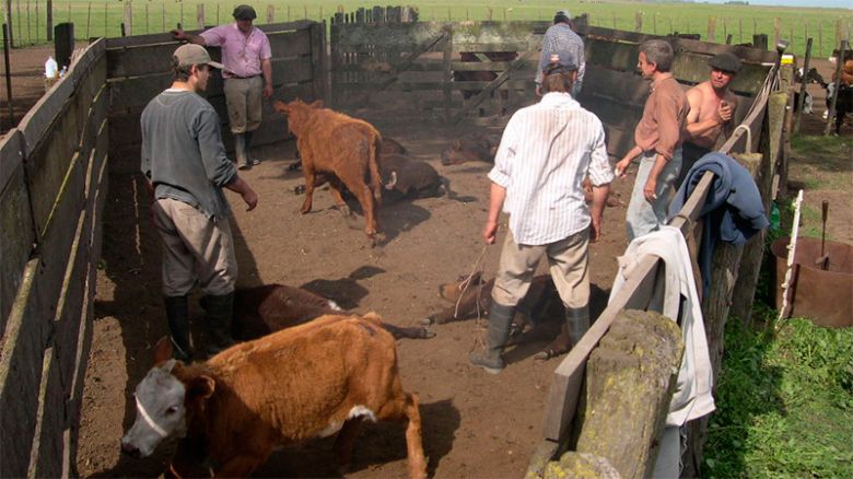 Fuerte caída de los despidos en el campo