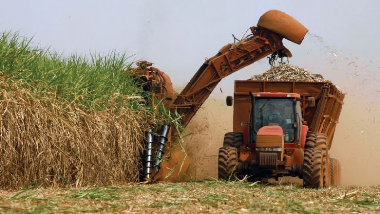 Economías regionales preocupadas por el vencimiento de la Ley de Biocombustibles