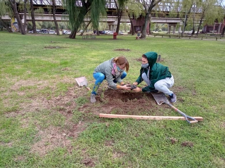 Más de 250 voluntarios participaron de la plantación de mil árboles en la costa sur del río