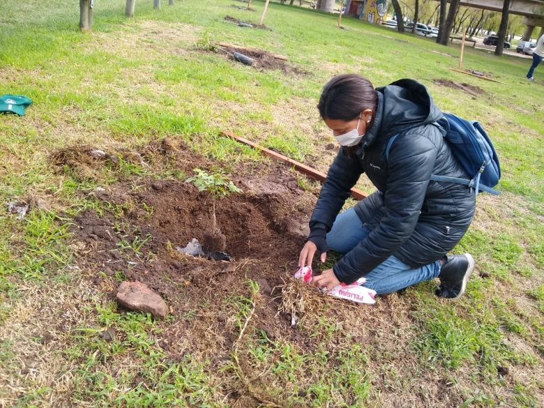 Más de 250 voluntarios participaron de la plantación de mil árboles en la costa sur del río