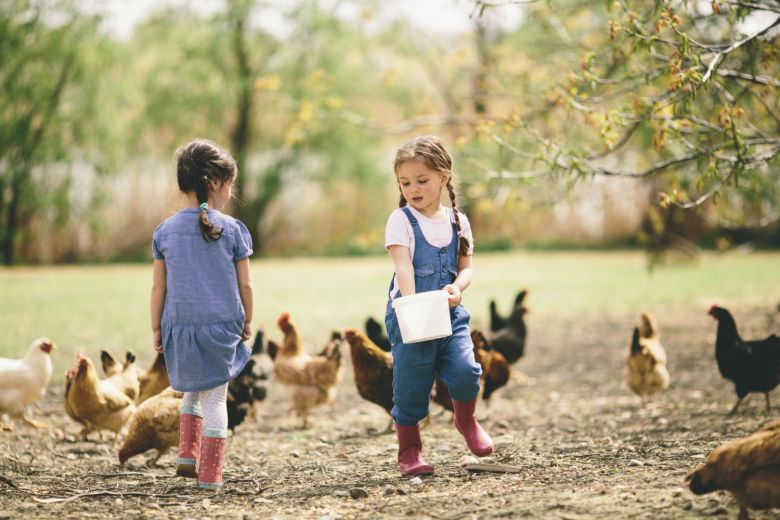 Proponen transformar el centro de atención canina en un centro Eco educativo