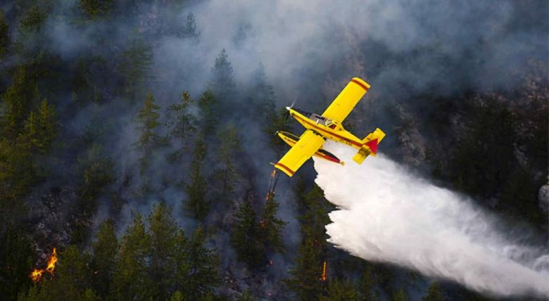 Jure insiste con su proyecto para que aviones privados se sumen al combate del fuego