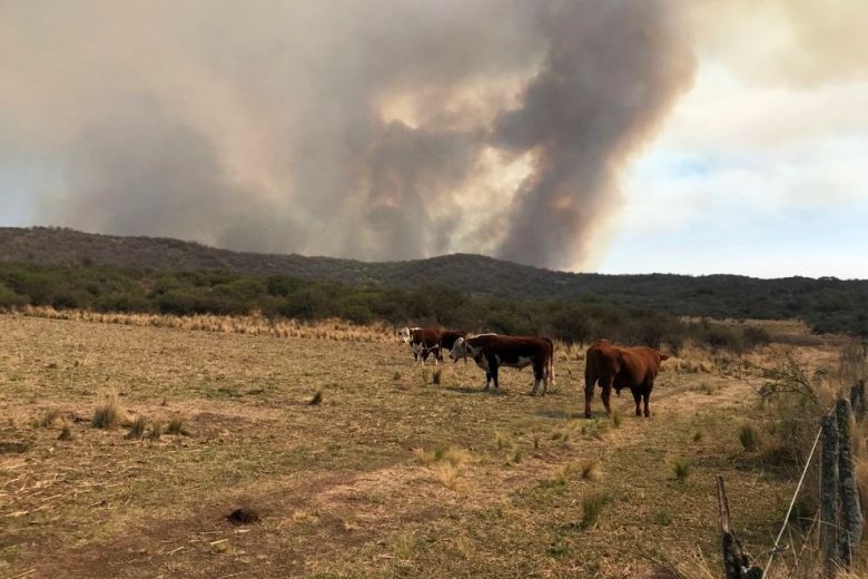 Continúan las tareas de Bomberos Voluntarios en los incendios del norte provincial