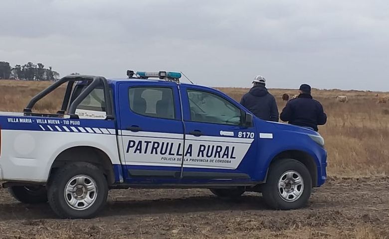 Robaron una camioneta en un campo de La Cesira