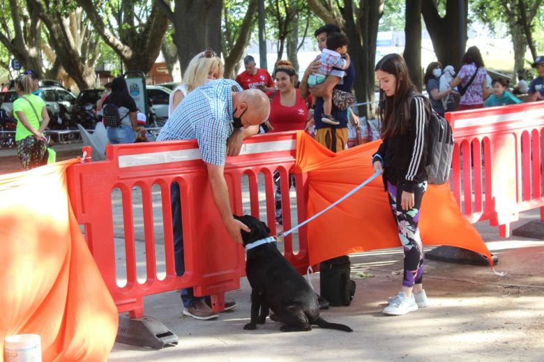 Más perros encontraron un hogar en la Feria de Adopciones