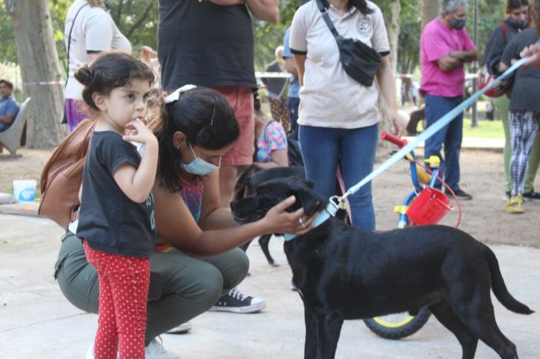 Más perros encontraron un hogar en la Feria de Adopciones