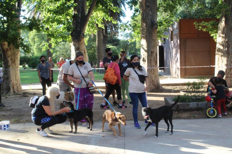 Más perros encontraron un hogar en la Feria de Adopciones