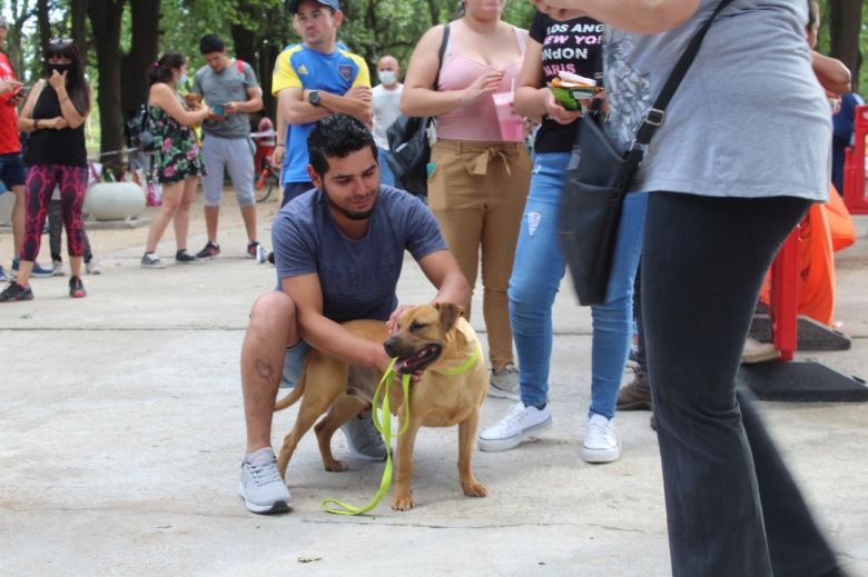 Más perros encontraron un hogar en la Feria de Adopciones