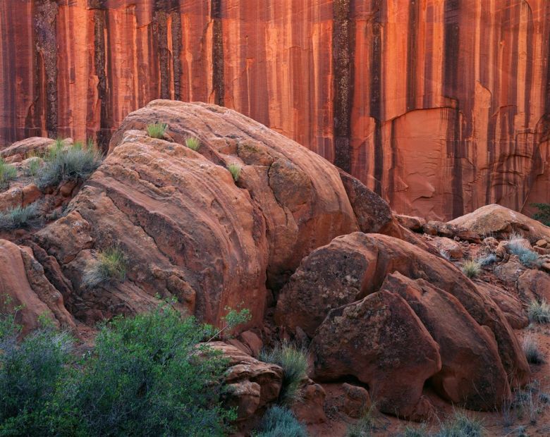 Naturaleza retratada