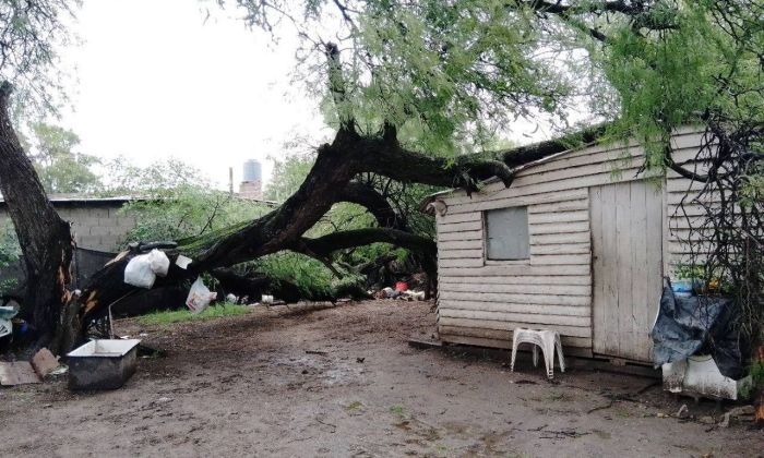 El viento provocó que un árbol se posara sobre la estructura de una vivienda en barrio Oncativo