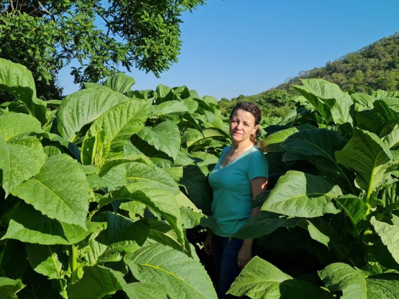 El paso a paso de una producción jujeña muy apasionada: El Tabaco Virginia