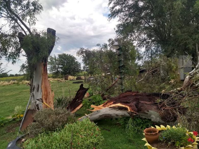 Río Cuarto y la región afectadas por las graves consecuencias del paso de la tormenta de viento y agua