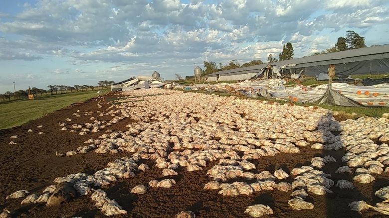 Río Cuarto y la región afectadas por las graves consecuencias del paso de la tormenta de viento y agua