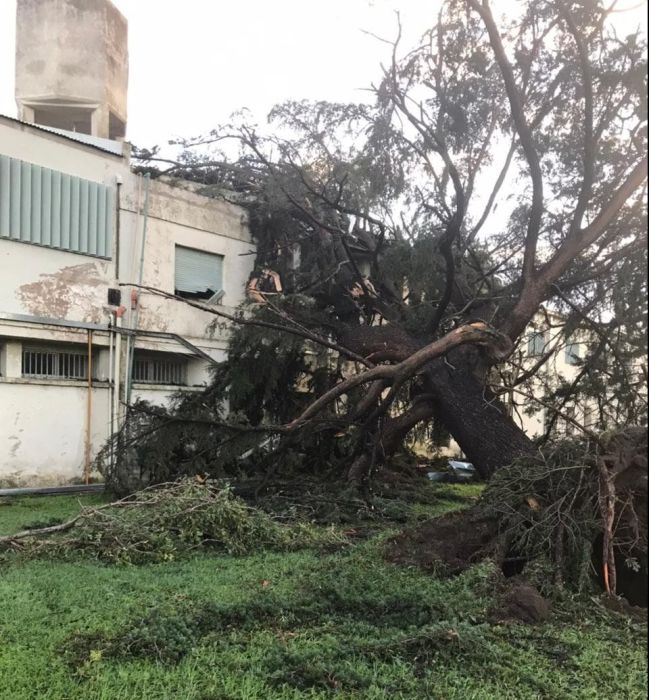 Vecinos del camino a San Ambrosio solicitan ayuda para poder salir de sus viviendas 