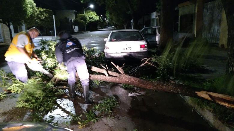 El Municipio junto a distintas entidades actúan sobre los sectores afectados por la tormenta 