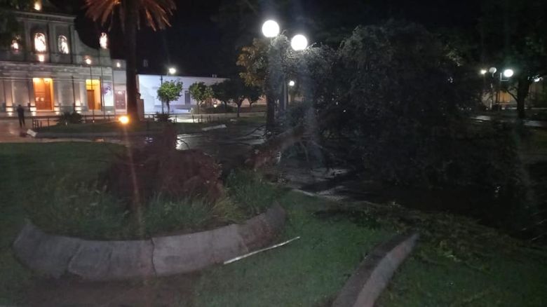 Sampacho sufrió voladuras de techos y caída de árboles a causa de la tormenta 