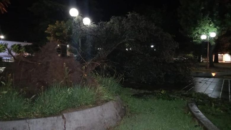 Sampacho sufrió voladuras de techos y caída de árboles a causa de la tormenta 