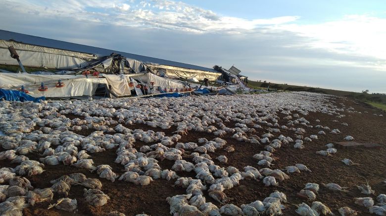 Migliore: "Charras parece una zona de guerra" 