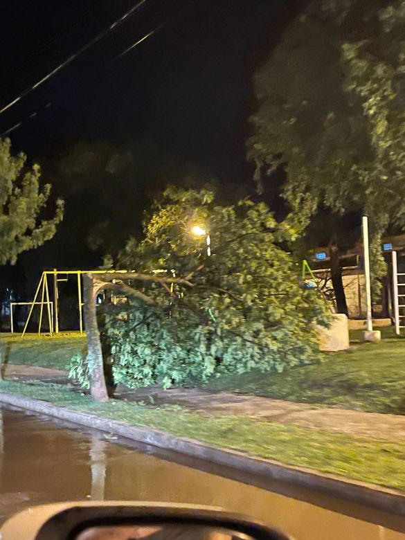 En menos de 40 días, Coronel Moldes se vio afectada por tres intensas tormentas