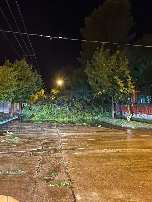 En menos de 40 días, Coronel Moldes se vio afectada por tres intensas tormentas