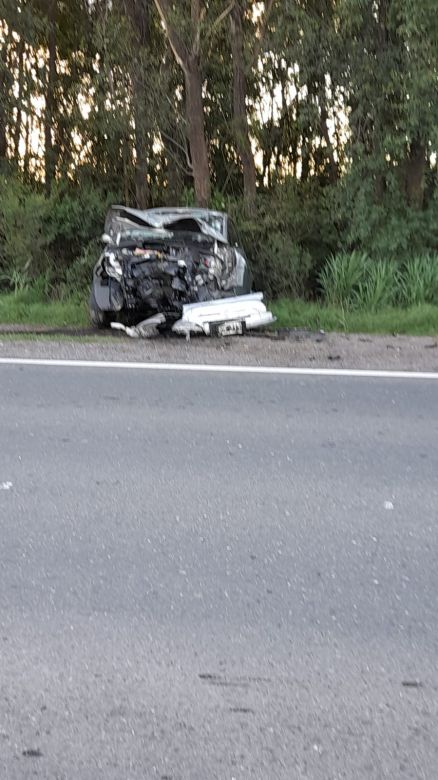 Un automóvil despistó y colisionó contra una columna de arboles 