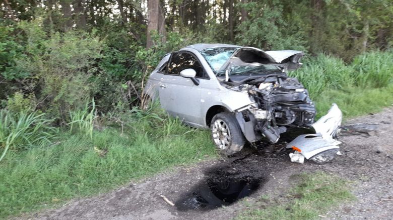 Un automóvil despistó y colisionó contra una columna de arboles 