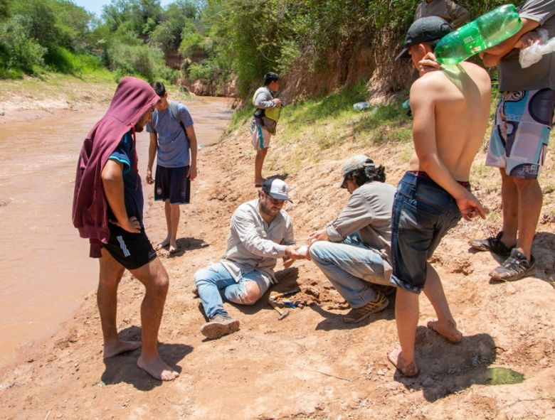 Hallaron restos de tres gliptodontes en Santiago del Estero