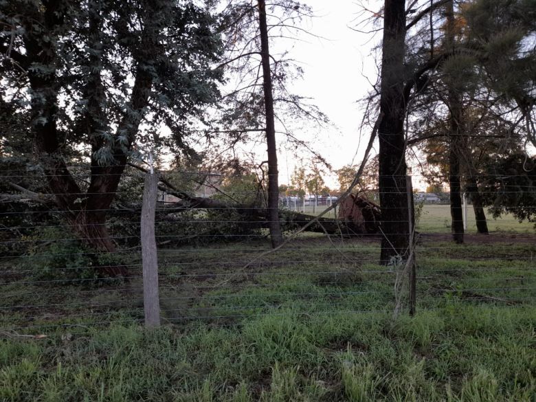 Grave tormenta con tornado en Monte de los Gauchos