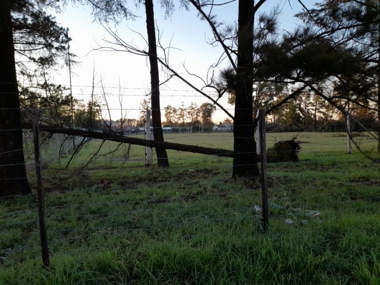 Grave tormenta con tornado en Monte de los Gauchos