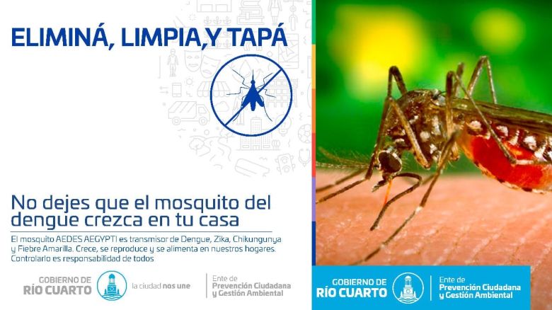 Tareas de prevención contra el mosquito Aedes Aegypti