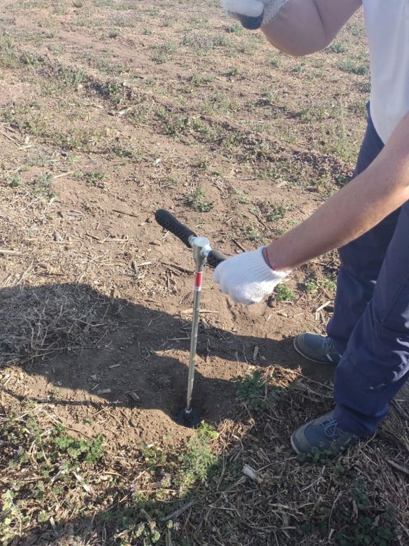 La AER Río Cuarto de INTA investiga el secuestro de carbono en la zona