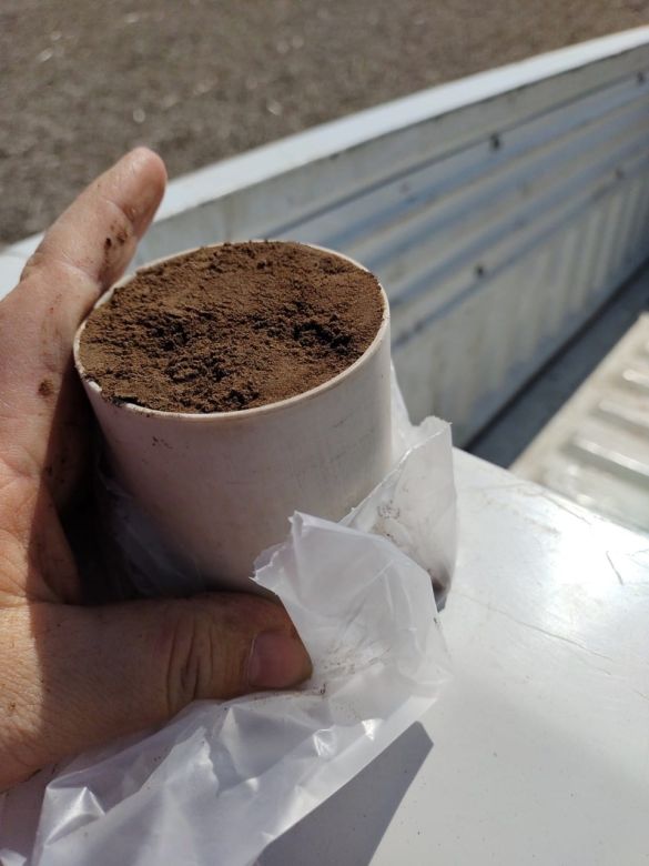 La AER Río Cuarto de INTA investiga el secuestro de carbono en la zona