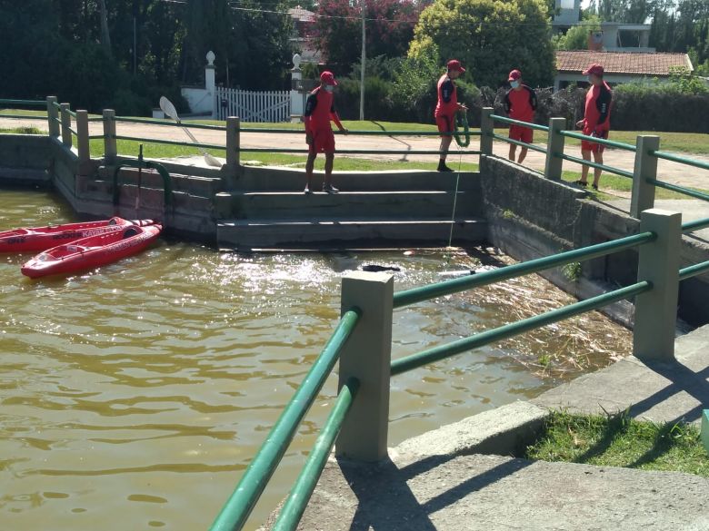 Sigue la búsqueda de la mujer desaparecida, buscan en la zona de Villa Dalcar