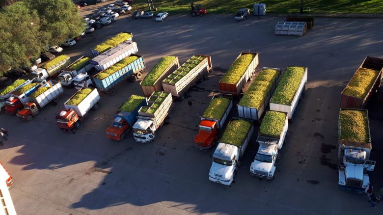 Productores de Tucumán buscan abaratar el costo del flete agregando valor a la producción en origen y le piden al Gobierno que los acompañe